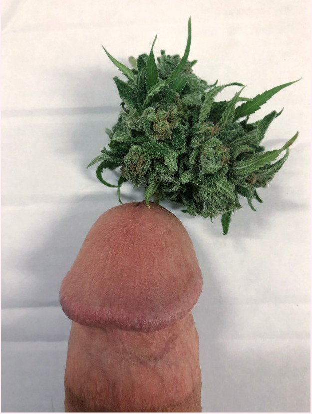 Dicks and Bongs Volume 3 #YKarAtUg
